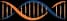 DNA image