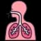 Internal Medicine Icon - HDNA Aarogyam Hospital