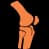Orthopedics & Joint Replacement