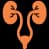 Urology