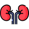 Renal Science