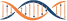 DNA image