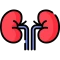 Renal Medicine Icon - HDNA Aarogyam Hospital