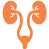 Urology