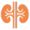 Renal HDU Icon - HDNA Aarogyam Hospital